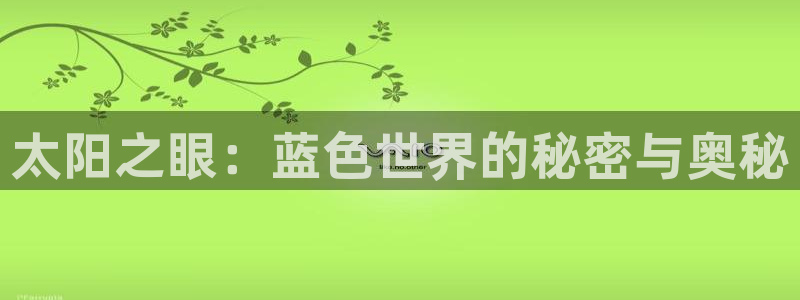 新宝5是谁