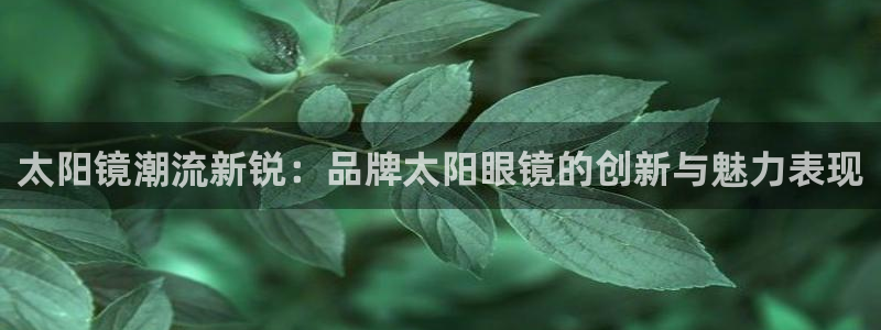 新宝5什么时候上市