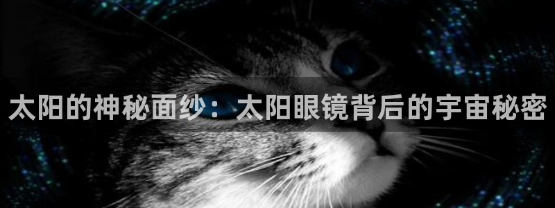 新宝5招商部