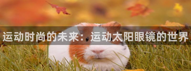 新宝5登陆地址