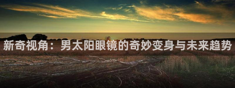 新宝5安卓版