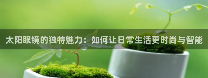 新宝5娱乐主管