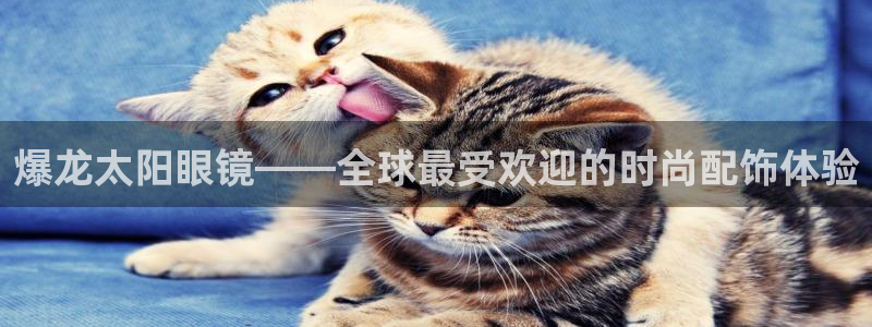 新宝5招商222111