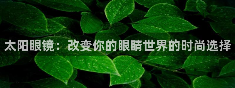 新宝5官网app