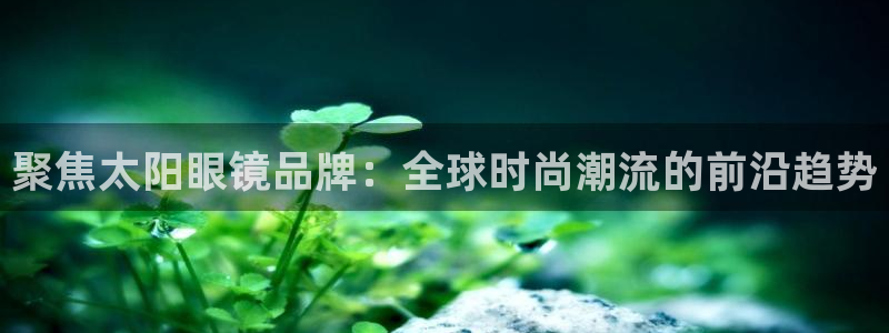 新宝股东瞧听2 5 5