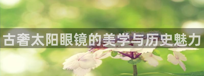 新宝5下载app