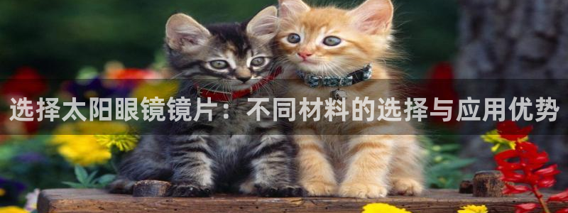 新宝5 代理