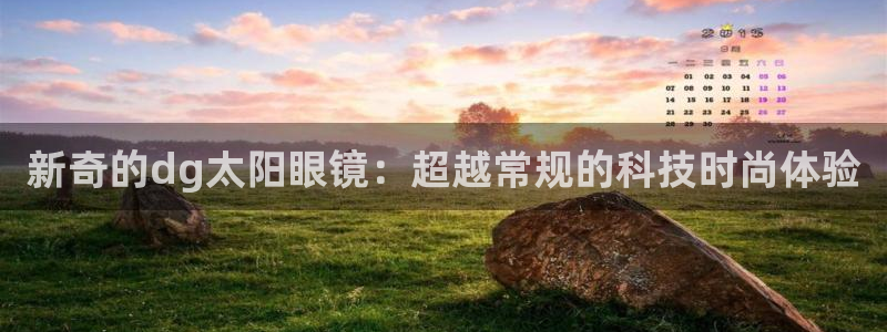 新宝堂新会陈皮5年