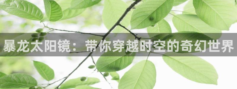 新宝5开好