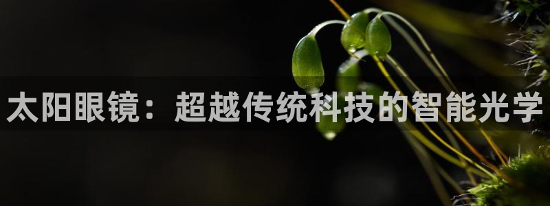 新宝5彩票娱乐平台